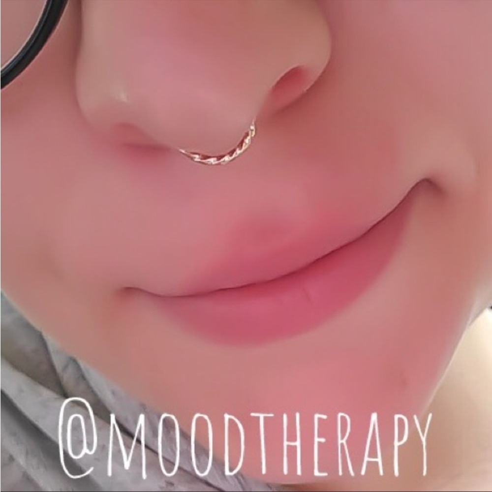 🌺NIB Handmade Seamless Twisted Septum Ring Hoop🌺